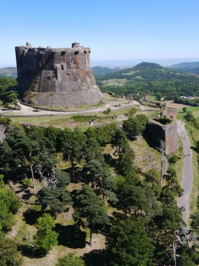 Les Terrasses Du Chateau De Murol - Studio 4P Au Pied Du Chateau De 米罗勒 外观 照片